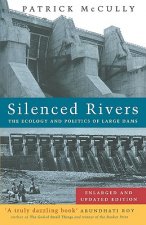 Silenced Rivers