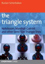 Triangle System