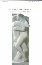 Collected Poems, 1959-1999