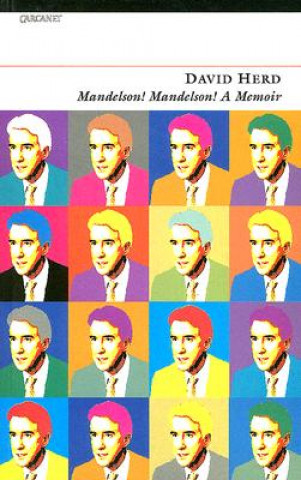 Mandelson! Mandelson! A Memoir