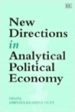 New Directions In Analytical Political Economy