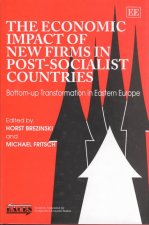 Economic Impact of New Firms in Post-socialist Countries
