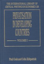 Privatisation in Developing Countries