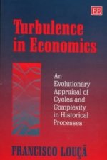 Turbulence in Economics