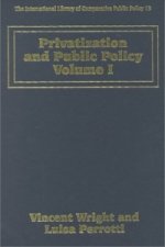 Privatization and Public Policy