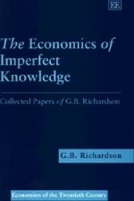 Economics of Imperfect Knowledge