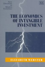 Economics of Intangible Investment