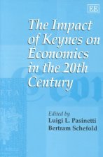 Impact of Keynes on Economics in the 20th Century