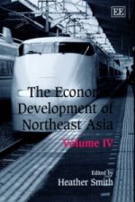 Economic Development of Northeast Asia