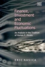 Finance, Investment and Economic Fluctuations