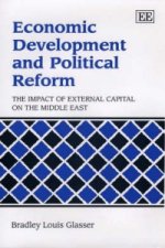 Economic Development and Political Reform