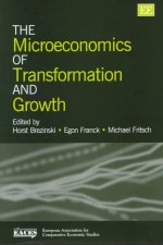 Microeconomics of Transformation and Growth