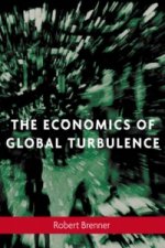 Economics of Global Turbulence