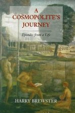 Cosmopolite's Journey