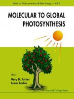 Molecular To Global Photosynthesis