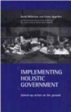 Implementing holistic government