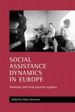 Social assistance dynamics in Europe