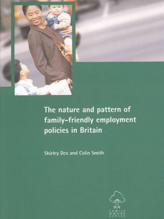 nature and pattern of family-friendly employment policies in Britain