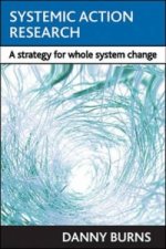 Systemic action research
