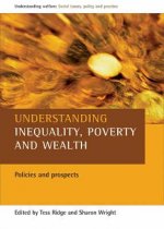 Understanding inequality, poverty and wealth