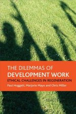 dilemmas of development work