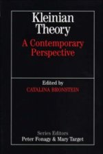 Kleinian Theory - A Contemporary Perspective