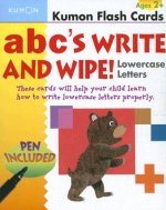 ABC's Write and Wipe Lowercase Letters