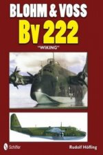 Blohm and Vs Bv 222 