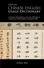 Concise Chinese Usage Dictionary