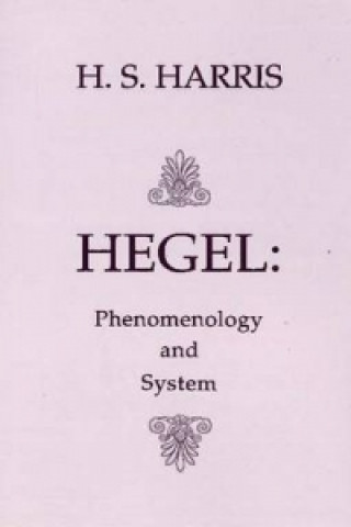 Phenomenology and System