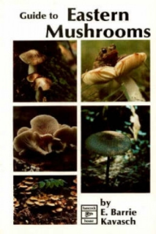 Guide to Eastern Mushrooms
