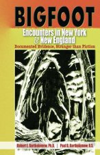Bigfoot Encounters in New York & New England