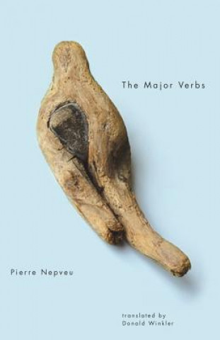 Major Verbs