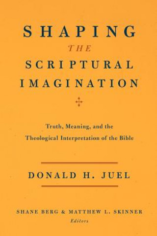 Shaping the Scriptural Imagination