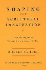 Shaping the Scriptural Imagination