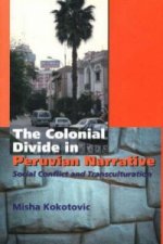 Colonial Divide in Peruvian Narrative