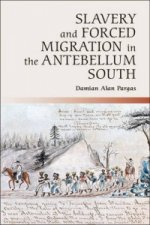 Slavery and Forced Migration in the Antebellum South