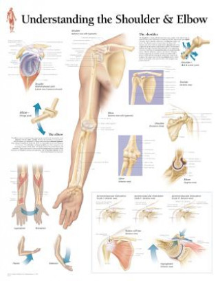 Understanding the Shoulder & Elbow Paper Poster
