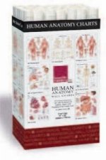 Human Anatomy Charts -- 48 Chart Merchandiser