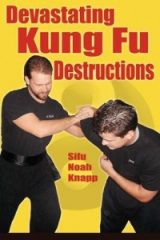 Devastating Kung Fu Destructions