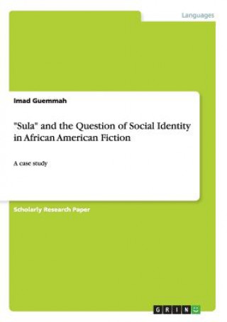 Sula and the Question of Social Identity in African American Fiction