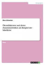 OEkozidfaktoren und deren Zusammenwirken am Beispiel der Sahelkrise