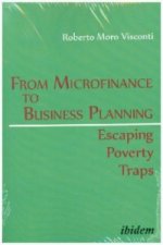 From Microfinance to Business Planning