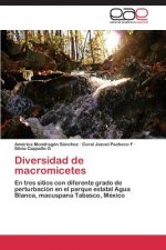 Diversidad de Macromicetes