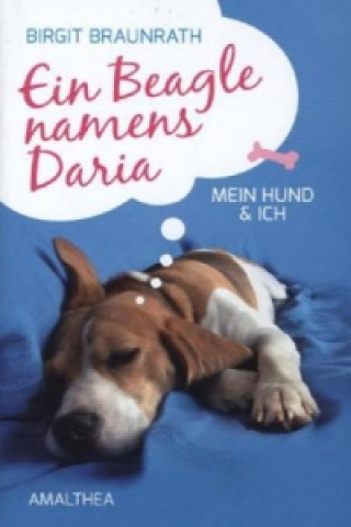 Ein Beagle namens Daria