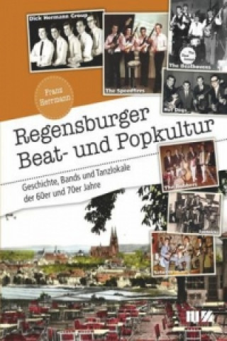 Regensburger Beat- und Popkultur