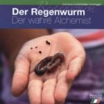 Der Regenwurm