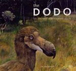 Dodo