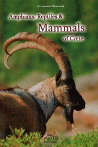 Amphibians, Reptiles & Mammals of Crete