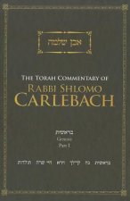 Torah Commentary of Rabbi Shlomo Carlebach